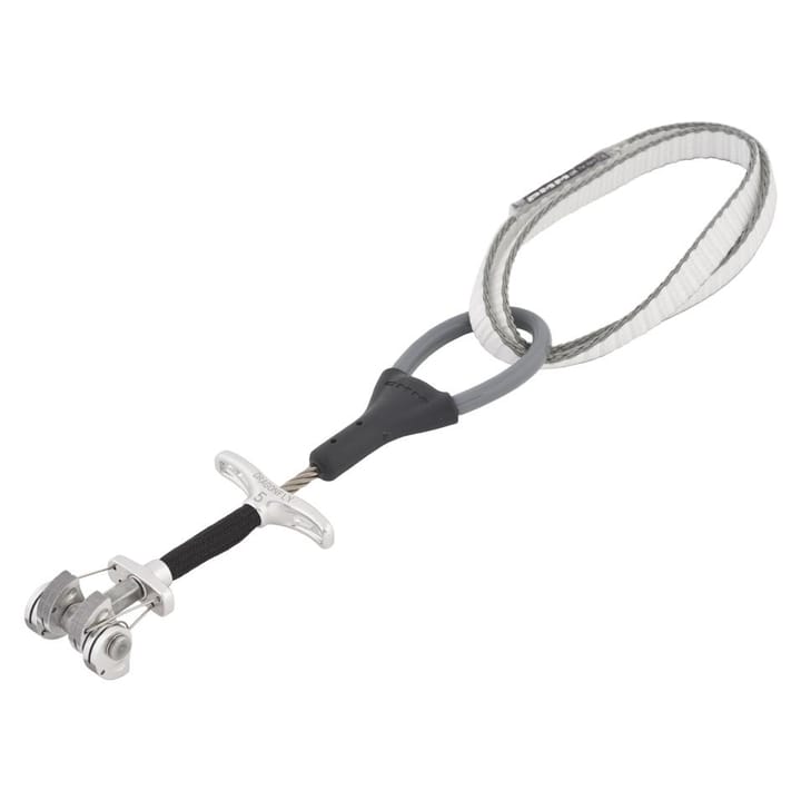 DMM Dragonfly Cam Silver DMM