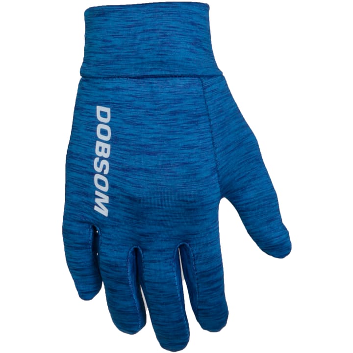 Gloves Blue Dobsom