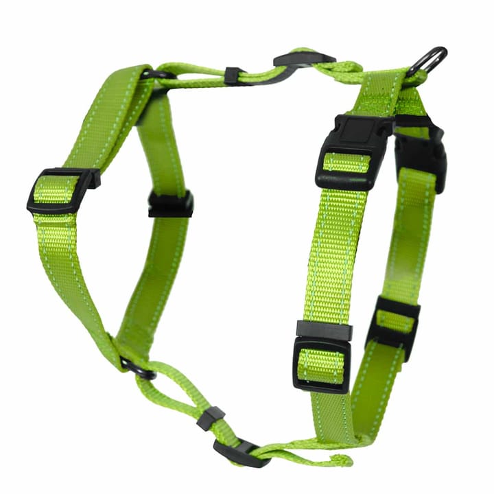 Dogman H-sele Iris 25mm Dogman Dogman H-sele Iris 25mm Dogman