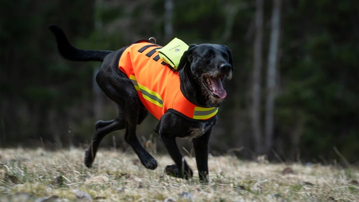 Dogtech HiVis - High Visibility Vest Hivis Red Dogtech