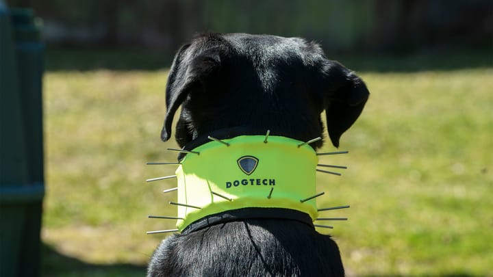 Dogtech Neck 2022 Hivis Yellow Dogtech