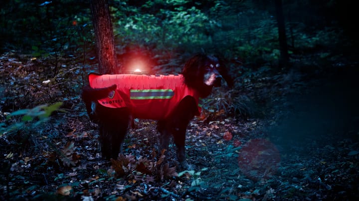 Dogtech One Base Vest Hivis Red Dogtech