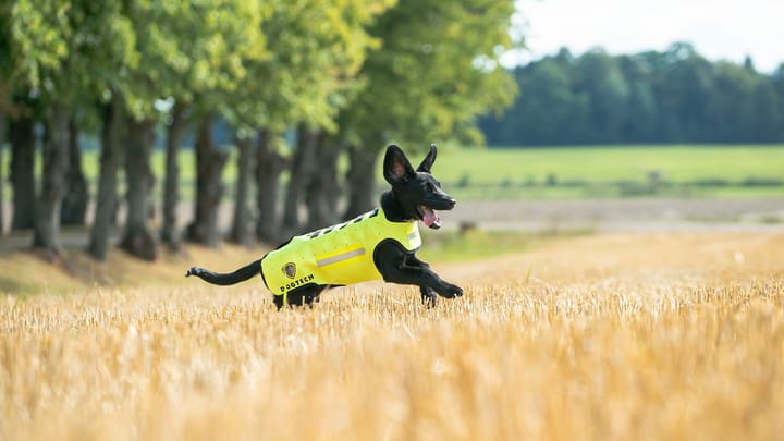 Dogtech One Base Vest Hivis Red Dogtech