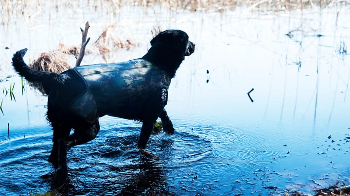 Dogtech Retriever Camo Dogtech