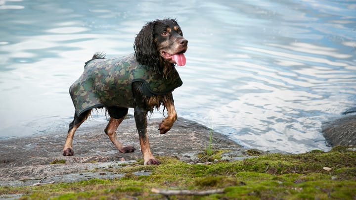 Dogtech Retriever Camo Dogtech