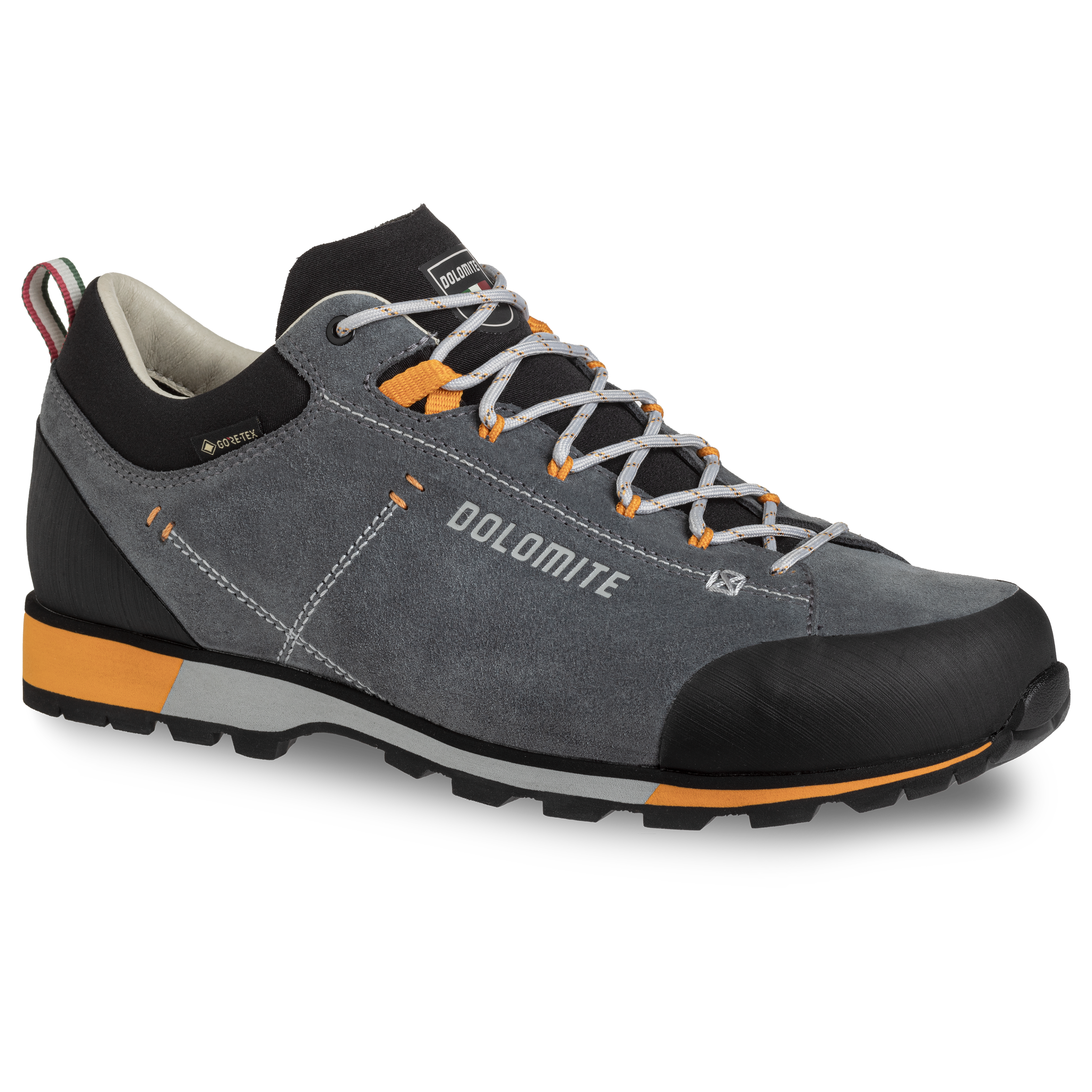Dolomite Men's 54 Hike Low Evo GORE-TEX