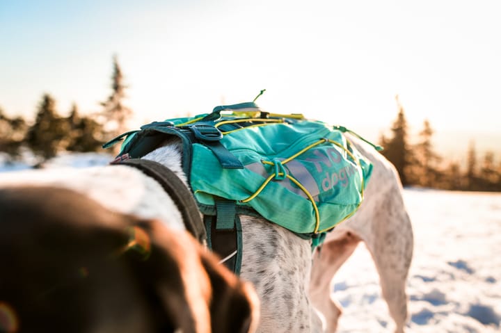 Non-stop Dogwear Trail Light Dog Backpack Teal Non-stop Dogwear