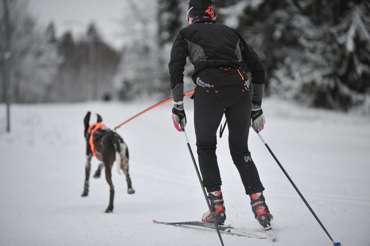 Non-stop Dogwear Løype Belt Pro Black Non-stop Dogwear