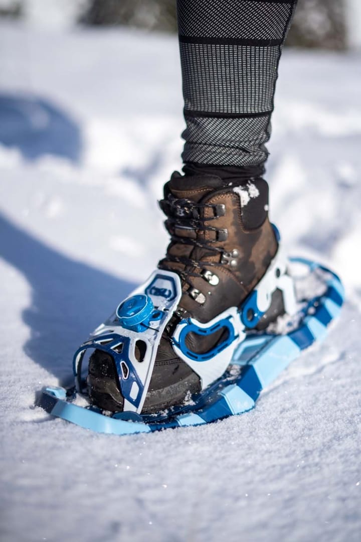 TSL Smart M Moonlight TSL