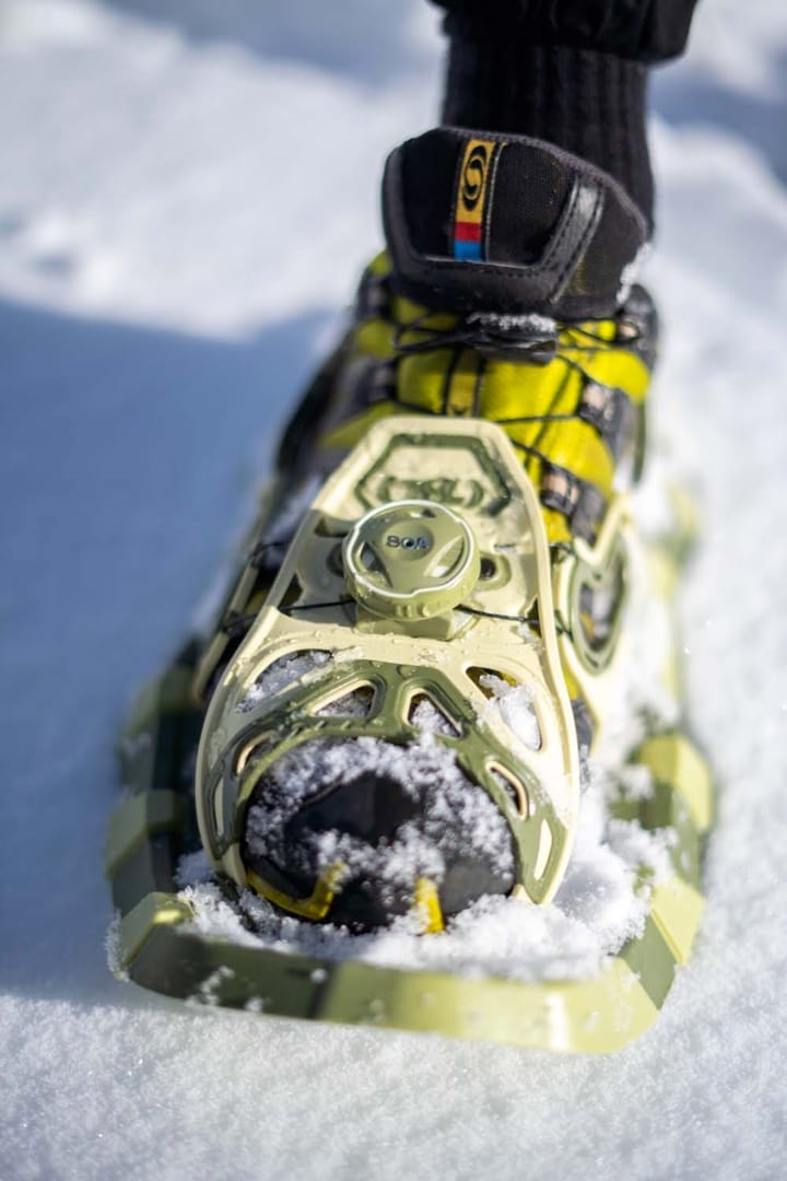 TSL Smart L Winter Garden TSL