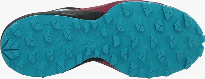 Women's Ultra 50 Gore-Tex black out/beet red Dynafit