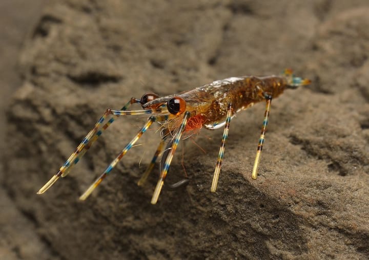 Easy Shrimp Eyes Legs 2.0 Easy Shrimp Eyes