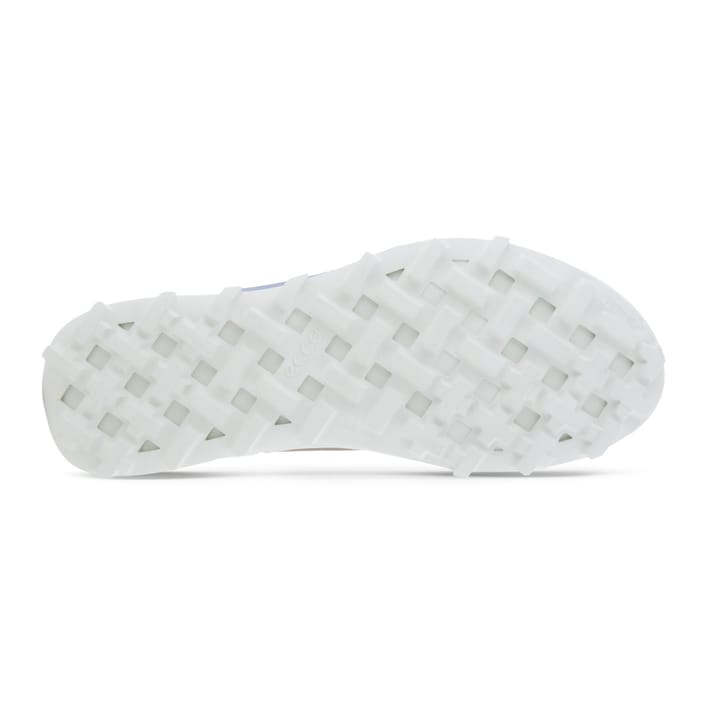 Ecco Women's Ecco Biom 2.1 X Country GORE-TEX Moonrock/Taupe Ecco