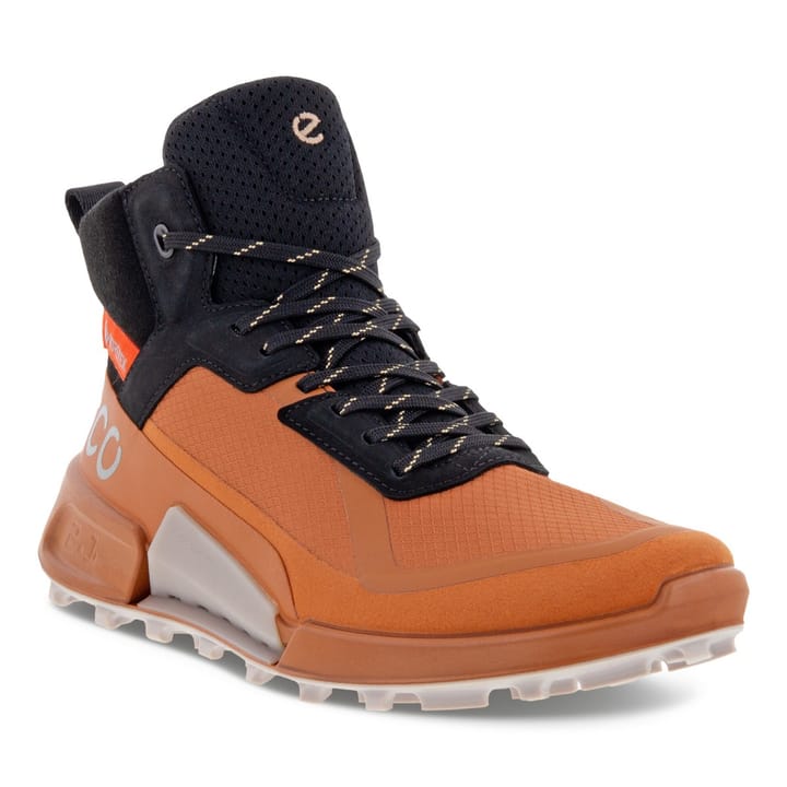 Ecco Women's Ecco Biom 2.1 Gore-Tex Mountain Sierra/Black Ecco