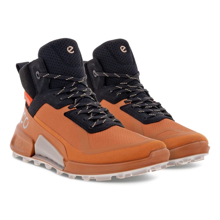 Ecco Women's Ecco Biom 2.1 Gore-Tex Mountain Sierra/Black Ecco