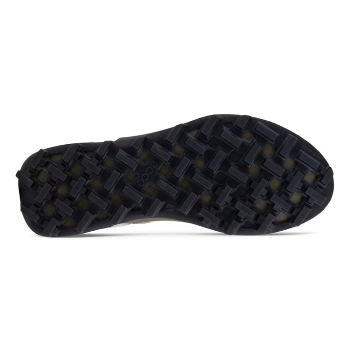 Ecco Men's Ecco Biom 2.1 GORE-TEX Mountain Tarmac/Steel Ecco