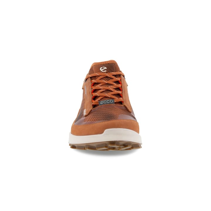 Ecco Biom 2.1 X Mtn W Low Wp Sierra/Sierra/Black Ecco