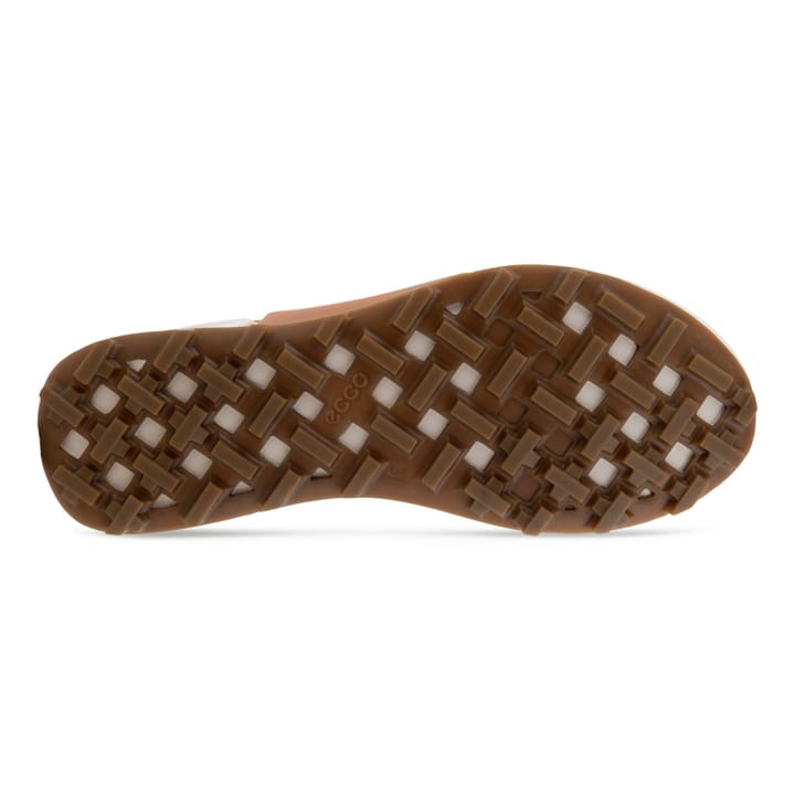Ecco Biom 2.1 X Mtn W Low Wp Sierra/Sierra/Black Ecco