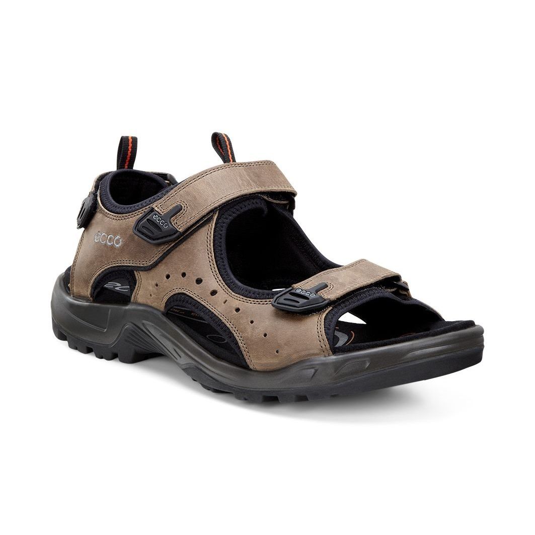 Ecco Men's Offroad Navajo Brown