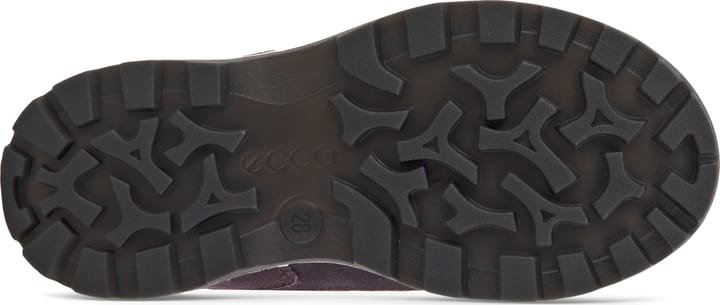 Kids' Ecco Snow Mountain Mid Cut Boo Gore-Tex Black/Fig/Fig Ecco