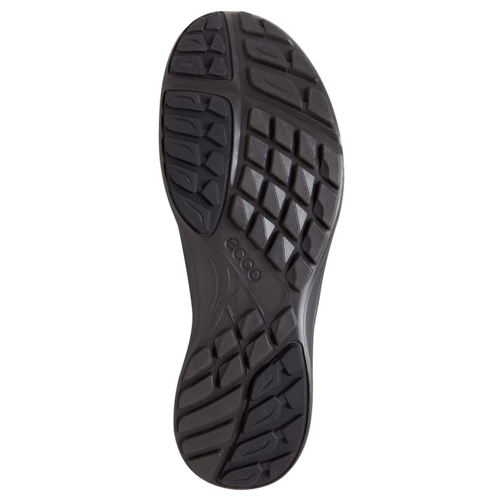 Ecco Men's Terracruise LT Black/Black Ecco