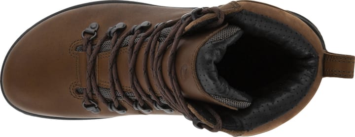 Ecco Women's Ecco Biom Hike Mid COCOA BROWN Ecco