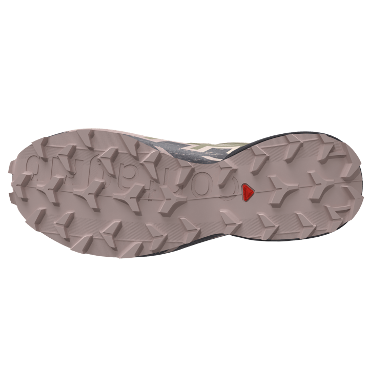 Salomon Women's Speedcross 6 GORE-TEX Eucalyptus / Slate Green / Shadow Gray Salomon