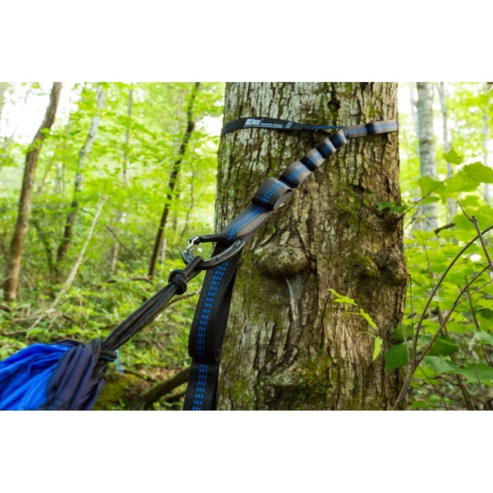 Atlas Suspension System Black/Royal Eagle Nest Outfitters