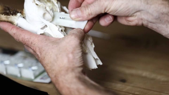 Eurohunt Eurohunt Mounting Clamps Roe Deer Nocolour Eurohunt