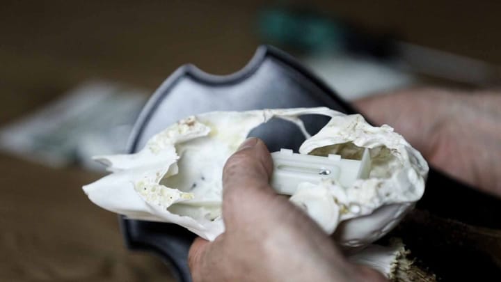 Eurohunt Eurohunt Mounting Clamps Roe Deer Nocolour Eurohunt