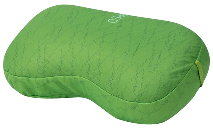 Exped Downpillow L Lichen Forest Exped