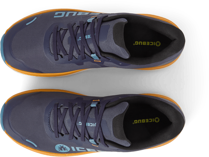 Icebug Men's Arcus 2 BUGrip GORE-TEX Inkling/yam Icebug