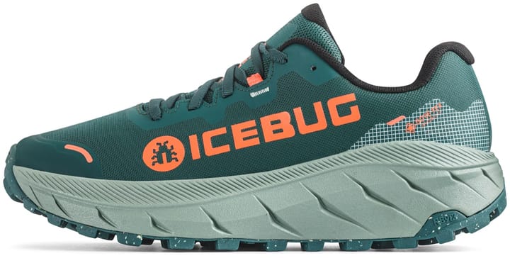 Icebug Women's Arcus 2 RB9X Gore-Tex Seamoss/coral Icebug