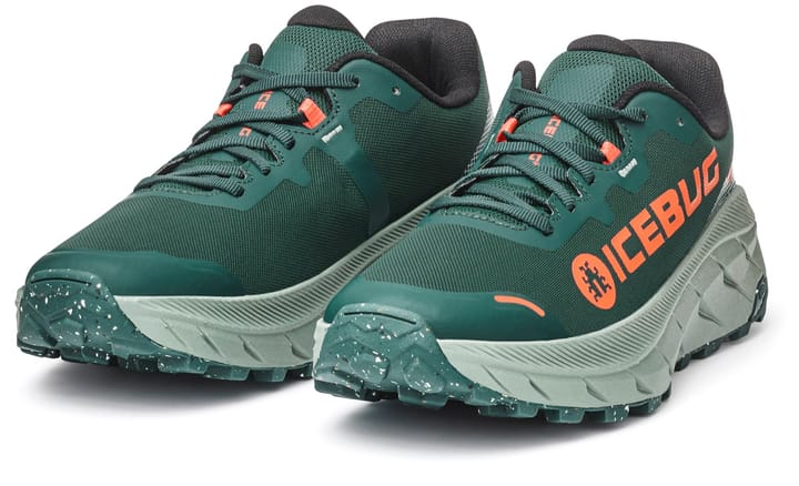 Icebug Women's Arcus 2 RB9X Gore-Tex Seamoss/coral Icebug