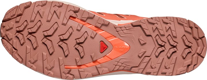 Salomon Women's XA Pro 3d V9 GORE-TEX Pecan Brown / Nectarine / Almond Cream Salomon