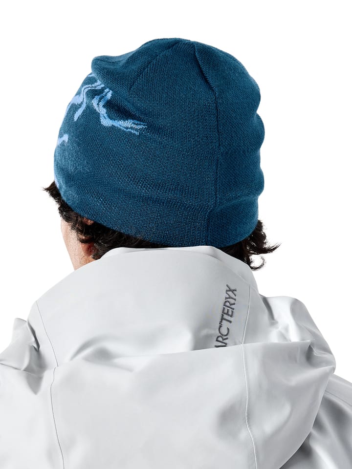 Arc'teryx Bird Head Toque Nightscape / Glacial Arc'teryx Arc'teryx Bird Head Toque Nightscape / Glacial Arc'teryx