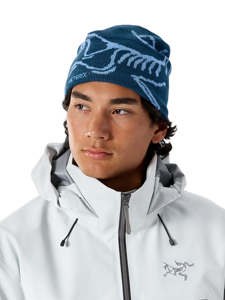Arc'teryx Bird Head Toque Nightscape / Glacial Arc'teryx