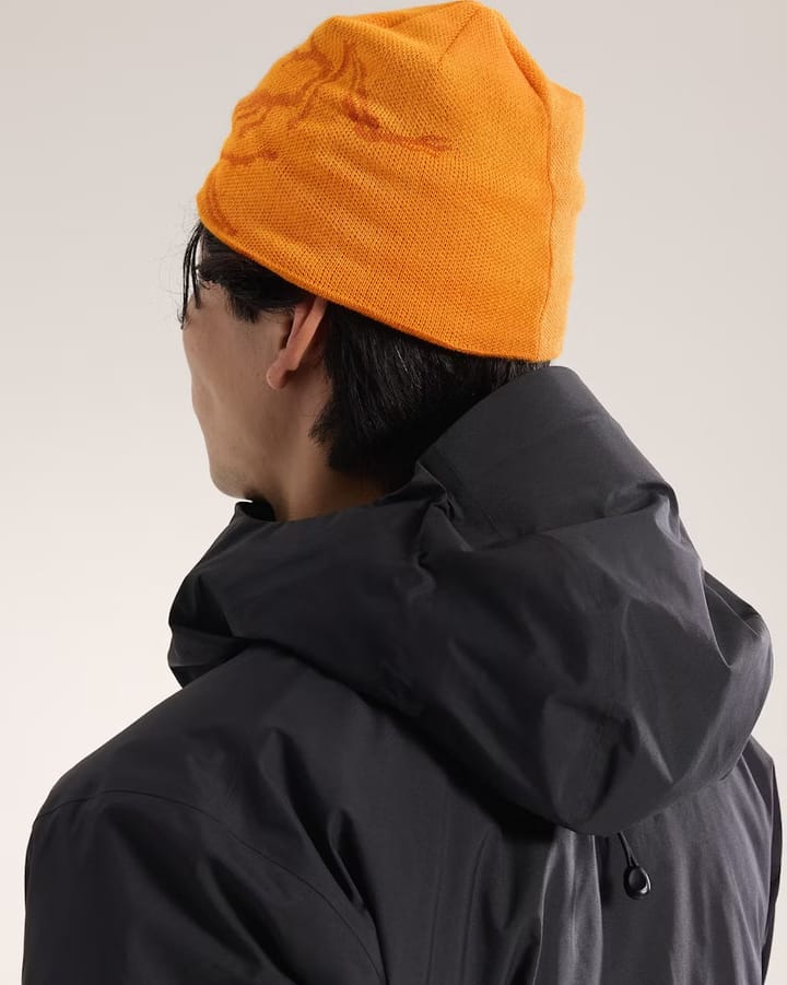 Arc'teryx Bird Head Toque Blaze / Copper Sky Arc'teryx Arc'teryx Bird Head Toque Blaze / Copper Sky Arc'teryx