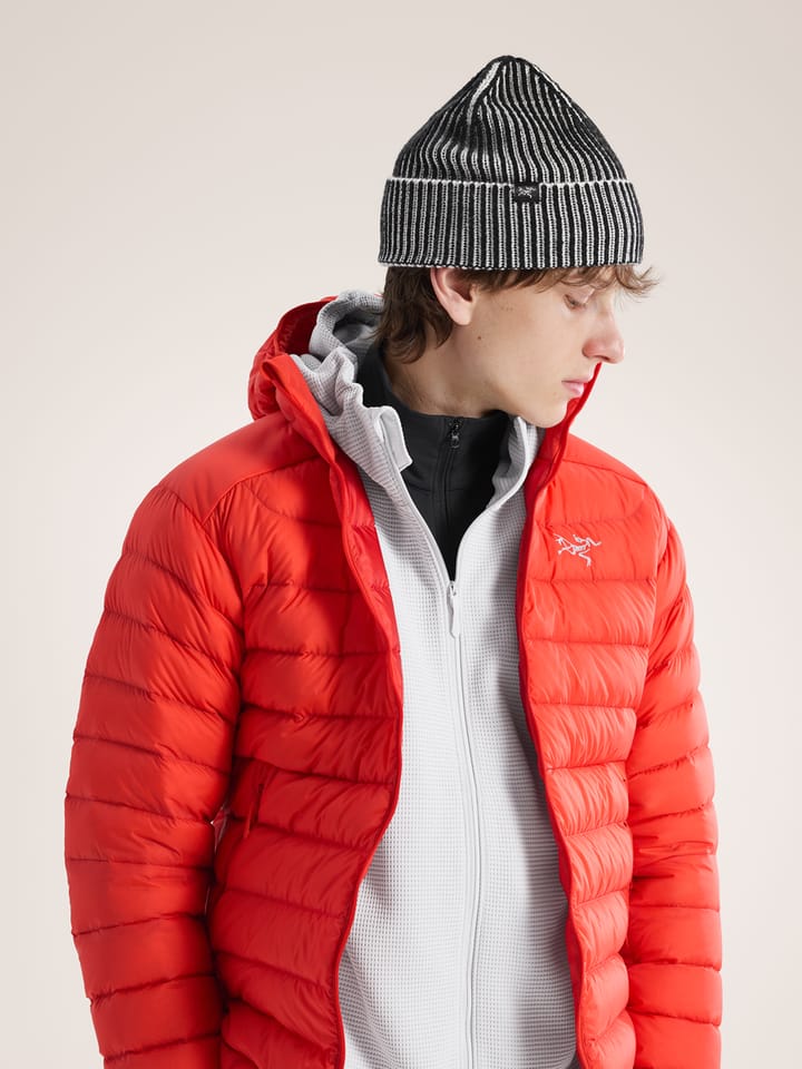 Arc'teryx Ribbed Toque Black / Arctic Silk Arc'teryx Arc'teryx Ribbed Toque Black / Arctic Silk Arc'teryx