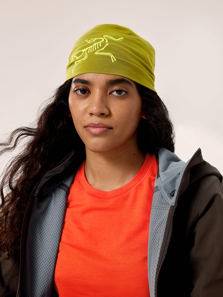 Arc'teryx Satoro Merino Toque Olive Moss / Euphoria Arc'teryx Arc'teryx Satoro Merino Toque Olive Moss / Euphoria Arc'teryx