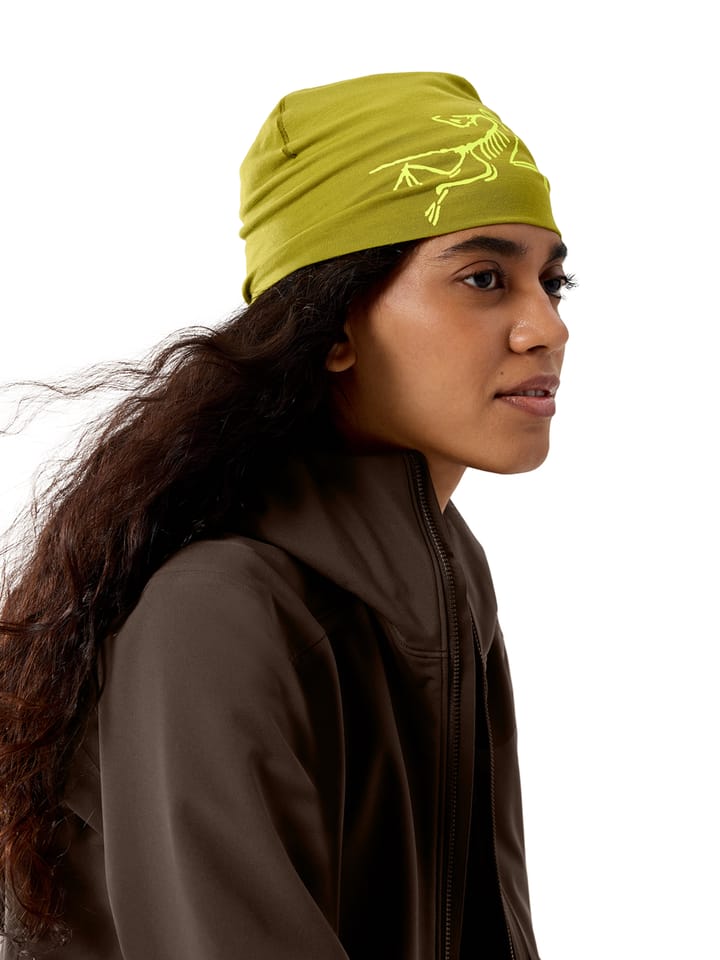 Arc'teryx Satoro Merino Toque Olive Moss / Euphoria Arc'teryx Arc'teryx Satoro Merino Toque Olive Moss / Euphoria Arc'teryx