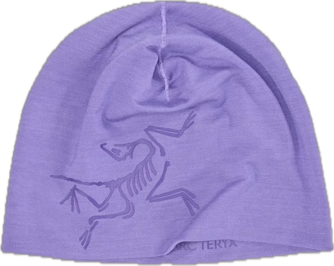 Arc'teryx Satoro Merino Toque Dk Aster