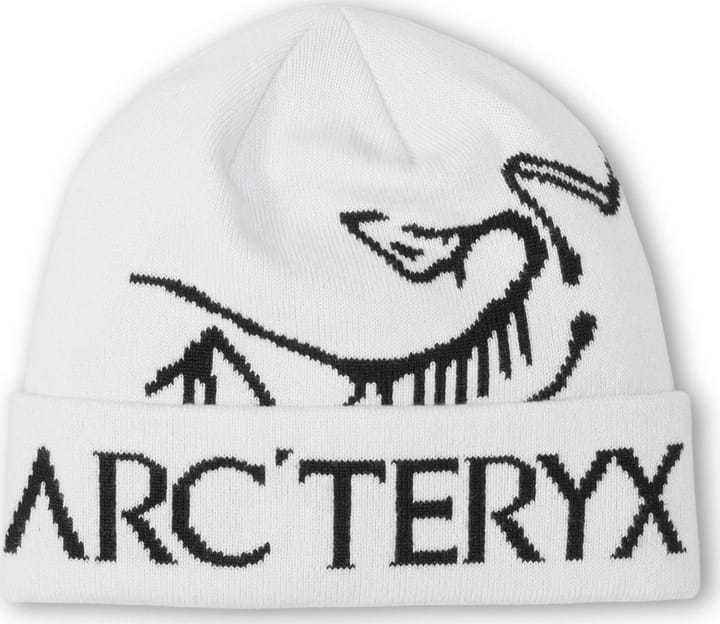 Arc'teryx Men's Bird Word Toque Orca Arc'teryx