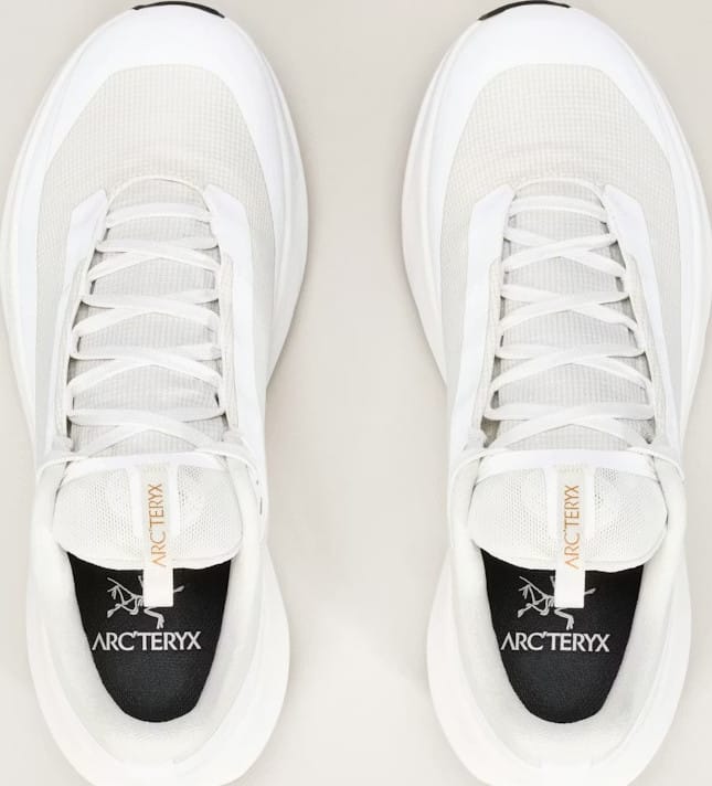 Arc'teryx Women's Norvan Ld 4 Gore-Tex Arctic Silk/arctic Silk Arc'teryx