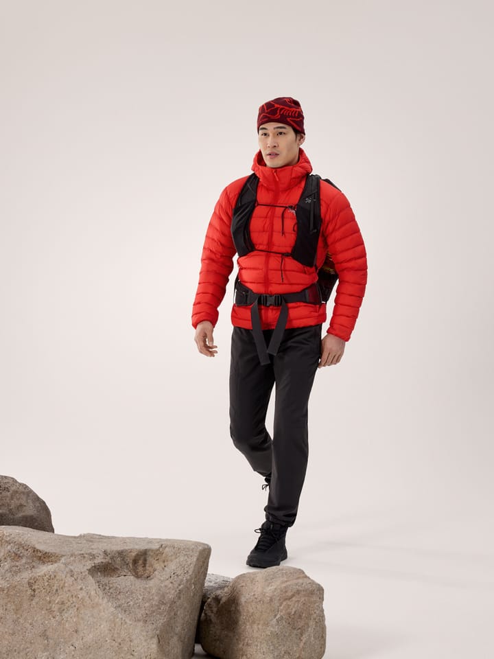 Arc'teryx Cerium Hoody M Dynasty Arc'teryx