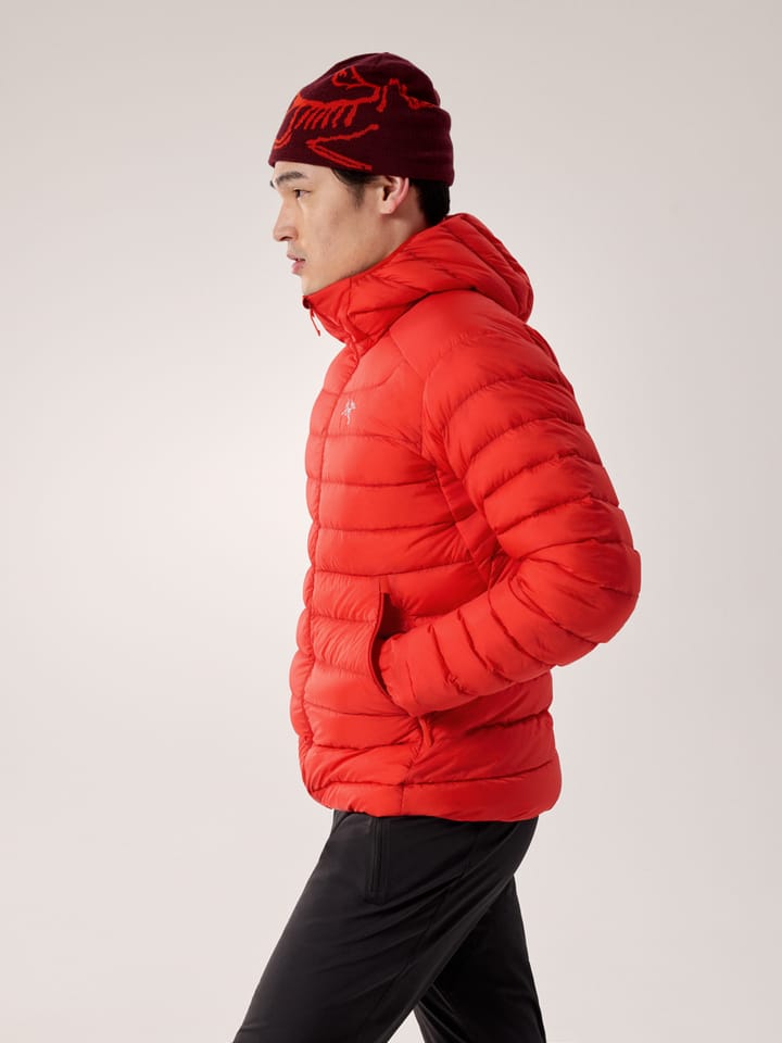 Arc'teryx Cerium Hoody M Dynasty Arc'teryx