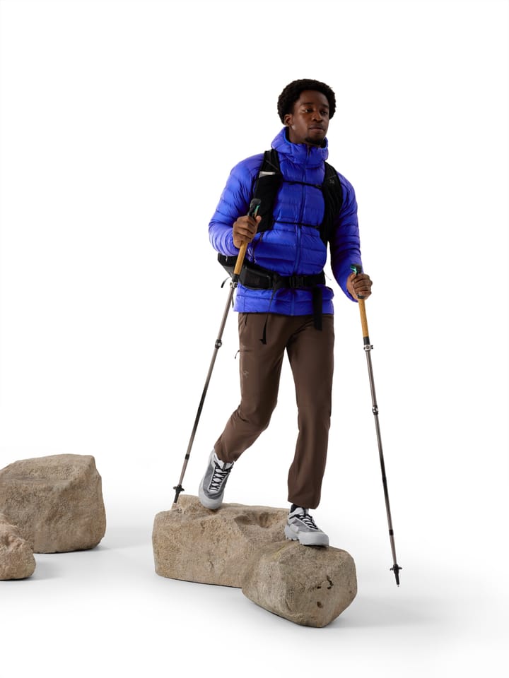 Arc'teryx Men's Cerium Hoody Vitality Arc'teryx