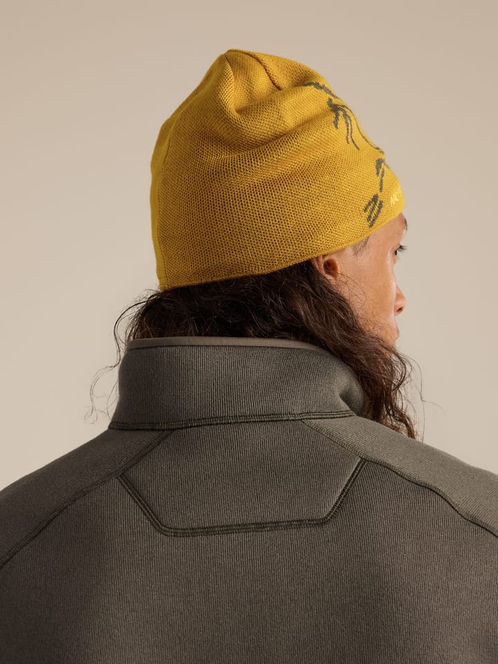 Arc'teryx Bird Head Toque Nucleus/Mongoose Arc'teryx