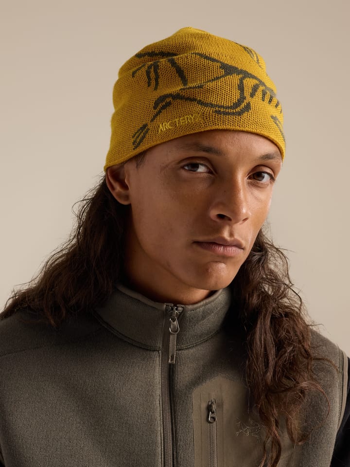 Arc'teryx Bird Head Toque Nucleus/Mongoose Arc'teryx