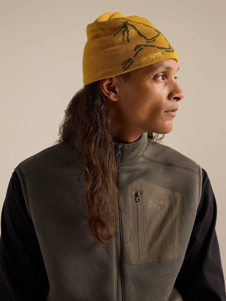 Arc'teryx Bird Head Toque Nucleus/Mongoose Arc'teryx
